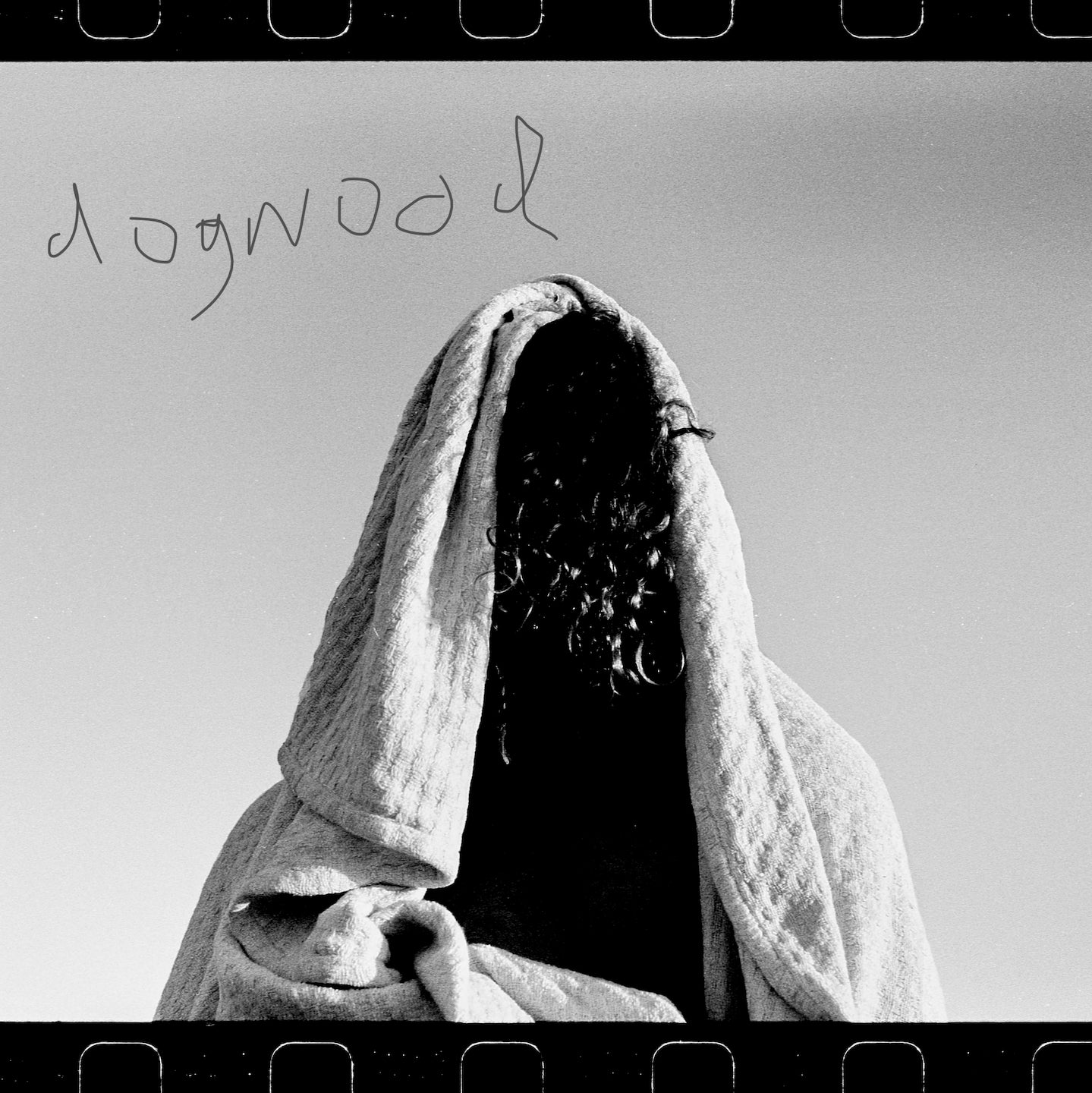 Levee Wolf - Dogwood [Digital Download]