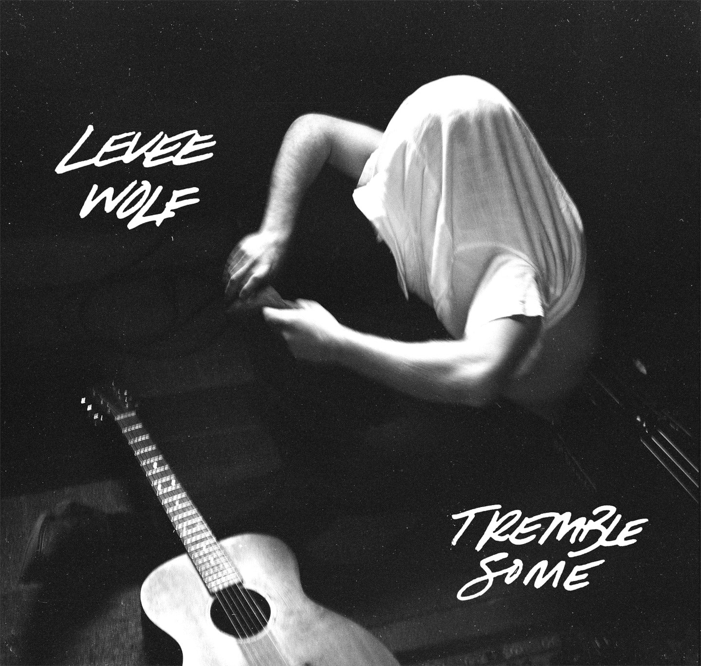 Levee Wolf "Tremble Some"  Download